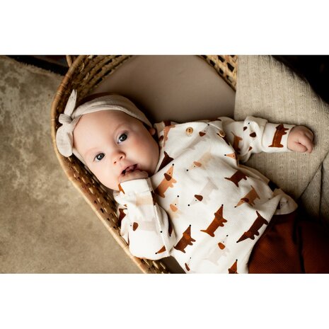 hondjes teckels ribtricot baby shirt