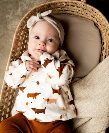 babyshirt teckeltjes ribtricot